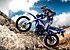2018 BMS CRP 250 for sale 200782947